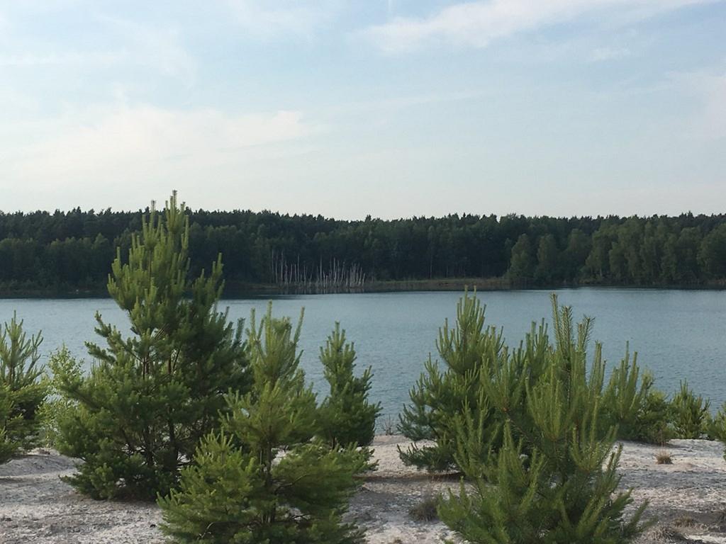 Ferienwohnung Am Schiederdamm Schwandorf in Bayern Bilik gambar